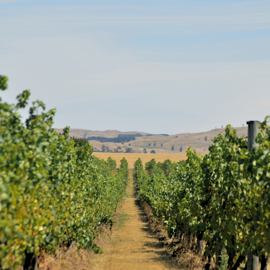 The Winemakers Selection
